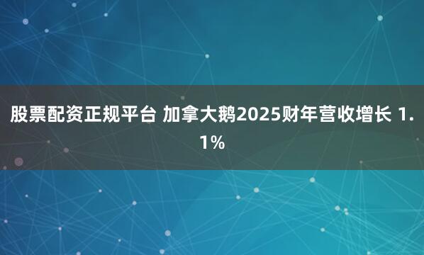 股票配资正规平台 加拿大鹅2025财年营收增长 1.1%